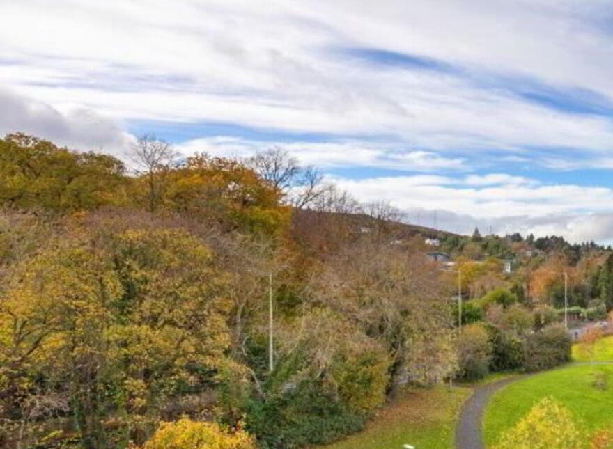 53 The Cedar, Parkview, Stepaside, Stepaside, D18Y1KN