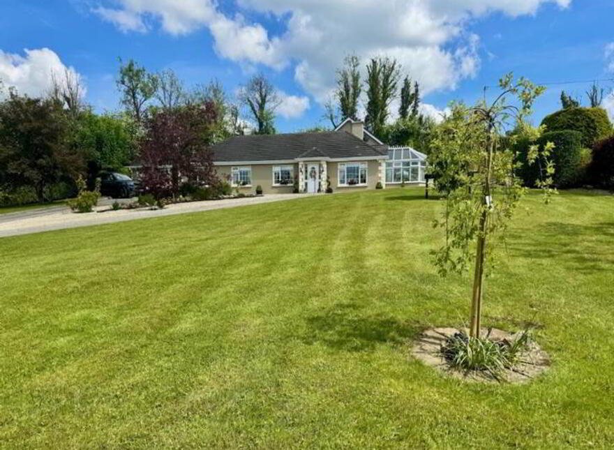 Tonnagh, Carrick-On-Shannon, N41K275