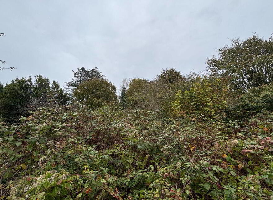 28 Grattan Hill, Off Lower Glanmire Road, St. Lukes, T23V8X6