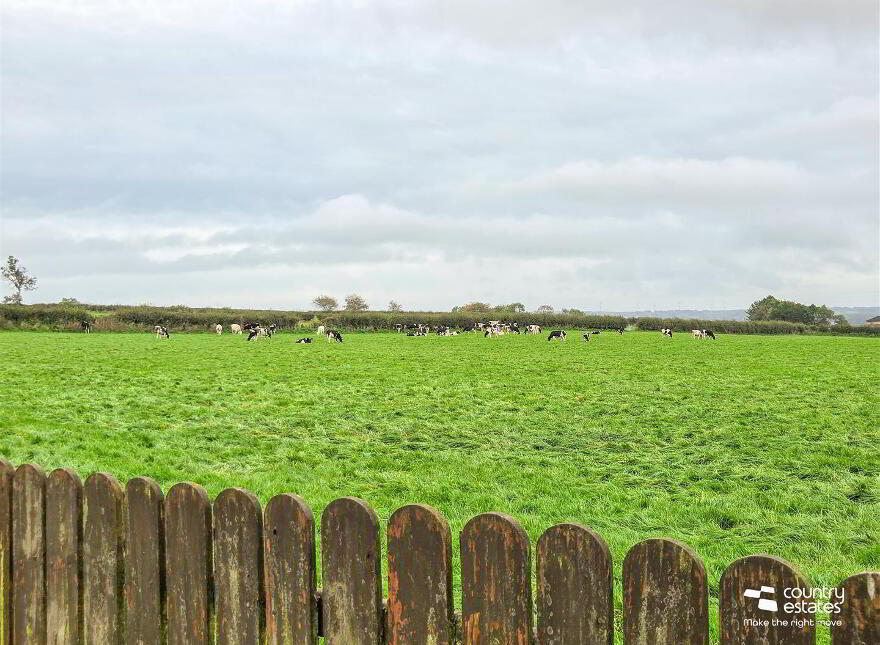 46 Springvale Road, Doagh, Ballyclare, BT39 0SS