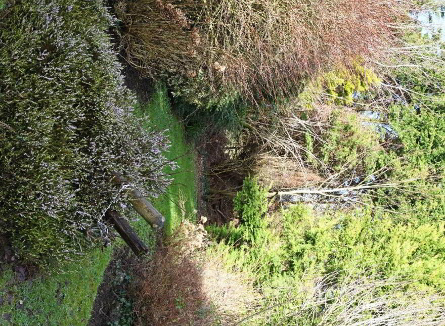 Silverdale, Galway Road, Tuam, H54FX36