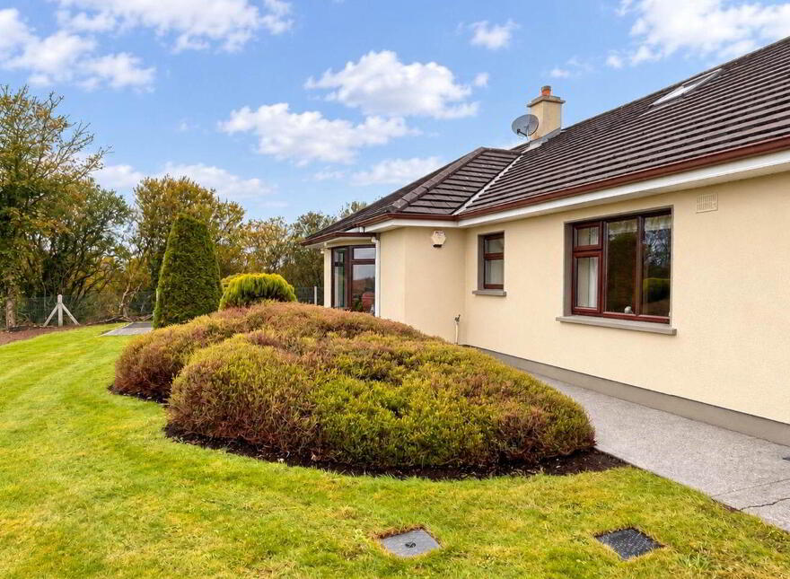 Aille, Barna, H91V3PD