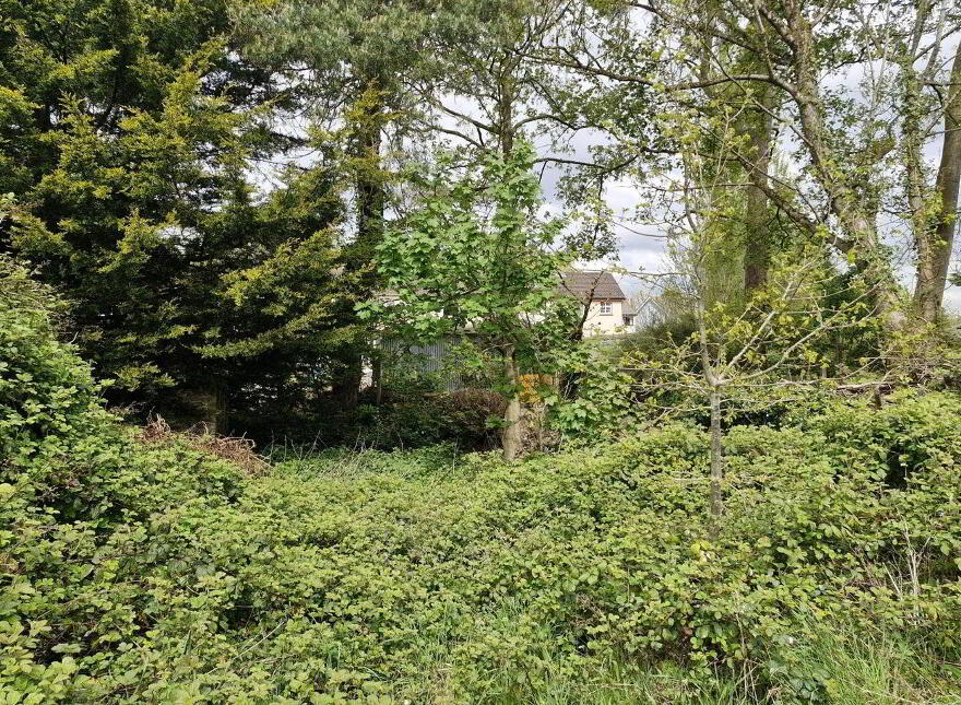 22 Main Street, Shillelagh, Y14XE29