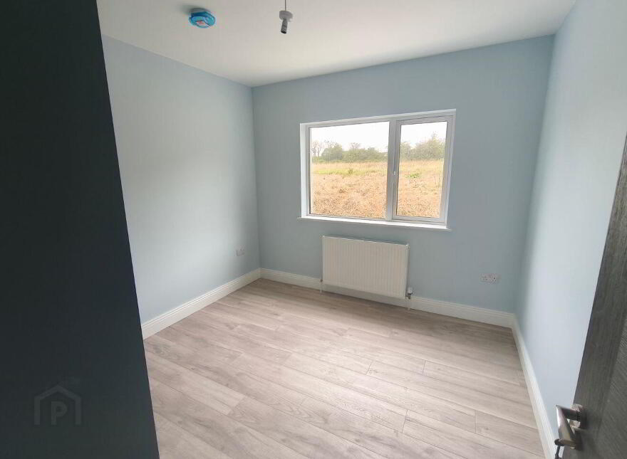 Lisduggan South, Castlemagner, P51F780