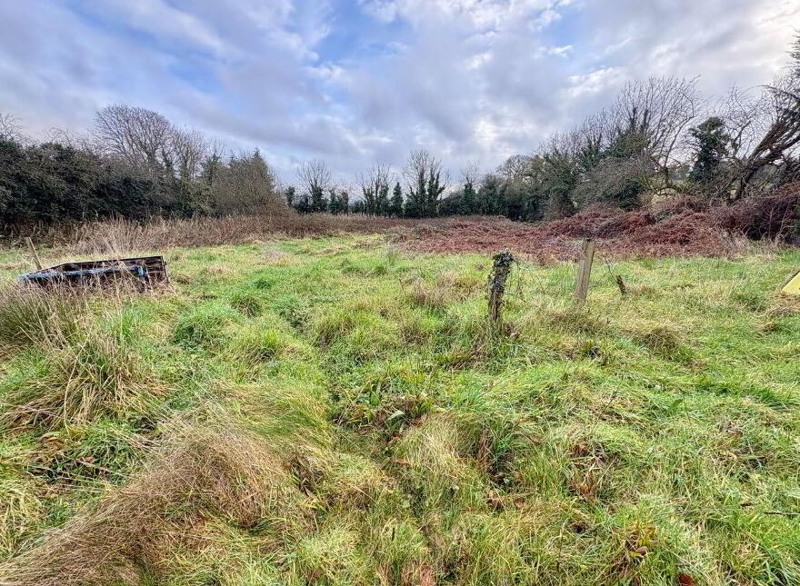 Woodview, Culleenabohoge, Ballynafid, Ballynafid, N91FC81