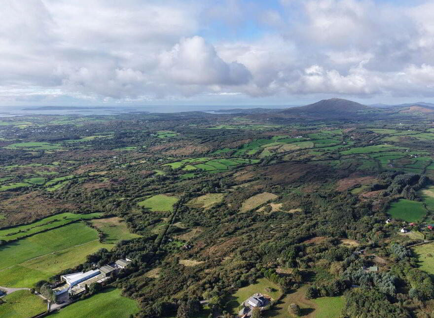 Gortnagrough, Ballydehob, P81EK02