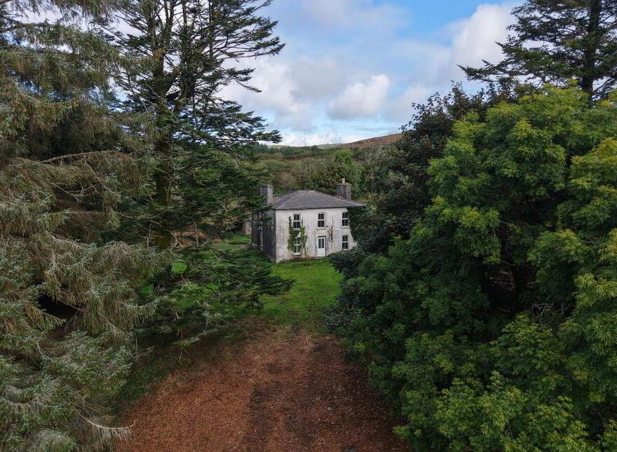 Gortnagrough, Ballydehob, P81EK02