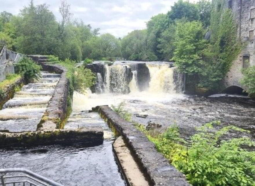 40 Mill Falls, Collooney, F91R206
