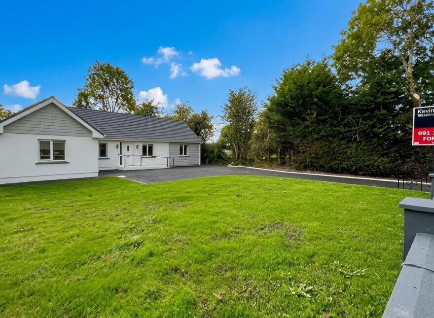 Derrymullan, Ballinasloe, H53R9Y8