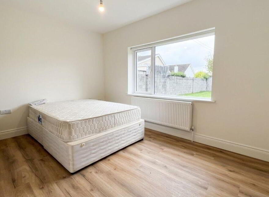 Derrymullan, Ballinasloe, H53R9Y8