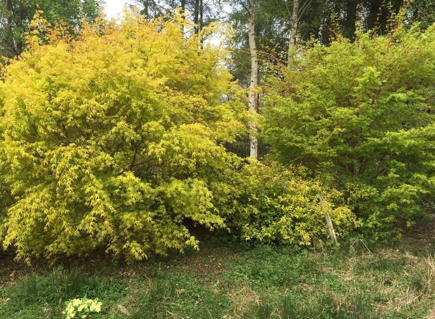Faha East, Adrigole, Adrigole, P75XK63