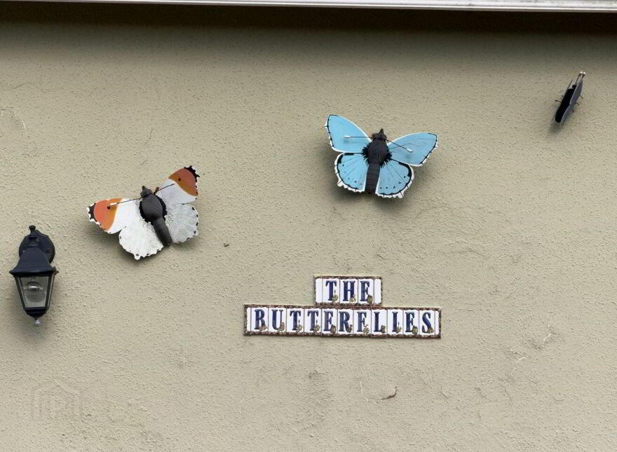 The Butterflies, Laghtagoona, Corofin, Killinaboy, V95P8D4