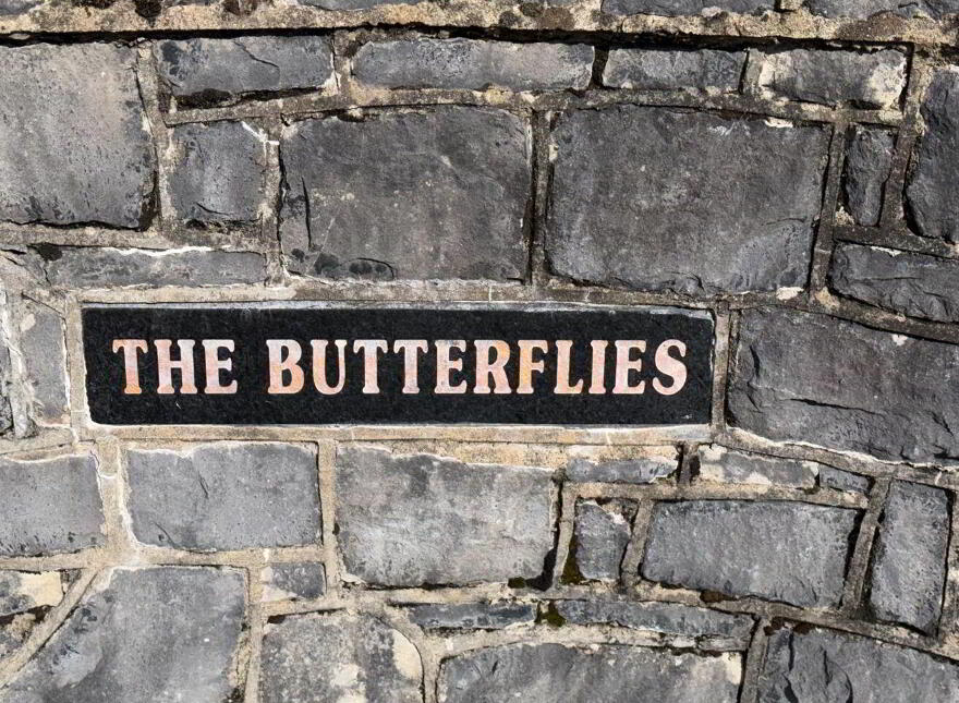 The Butterflies, Laghtagoona, Corofin, Killinaboy, V95P8D4