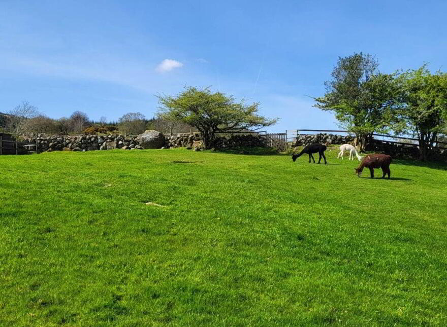Curraduff, Derryerglinna, H91R2Y7