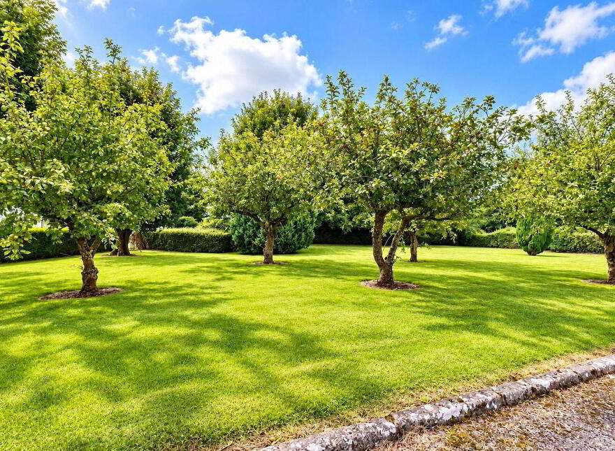 1 Boora Avenue, Lea Beg, Blue Ball, Pollagh, R35XE24