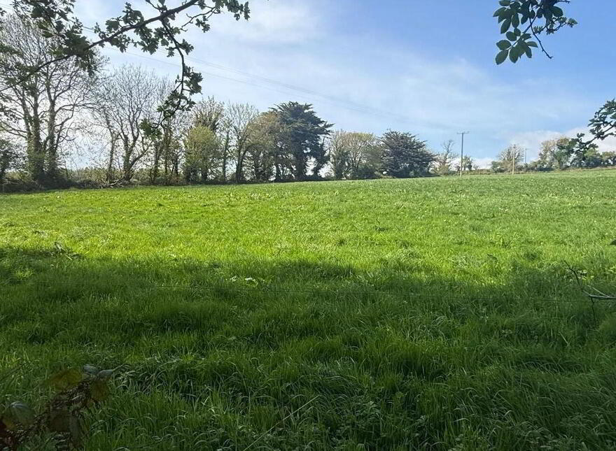 Old Park, Templemartin
