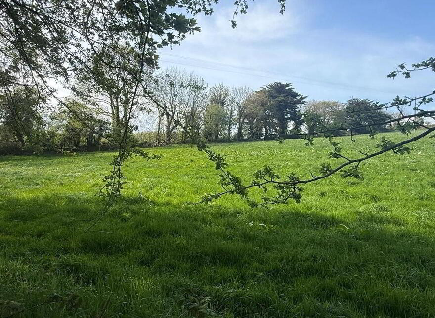 Old Park, Templemartin photo