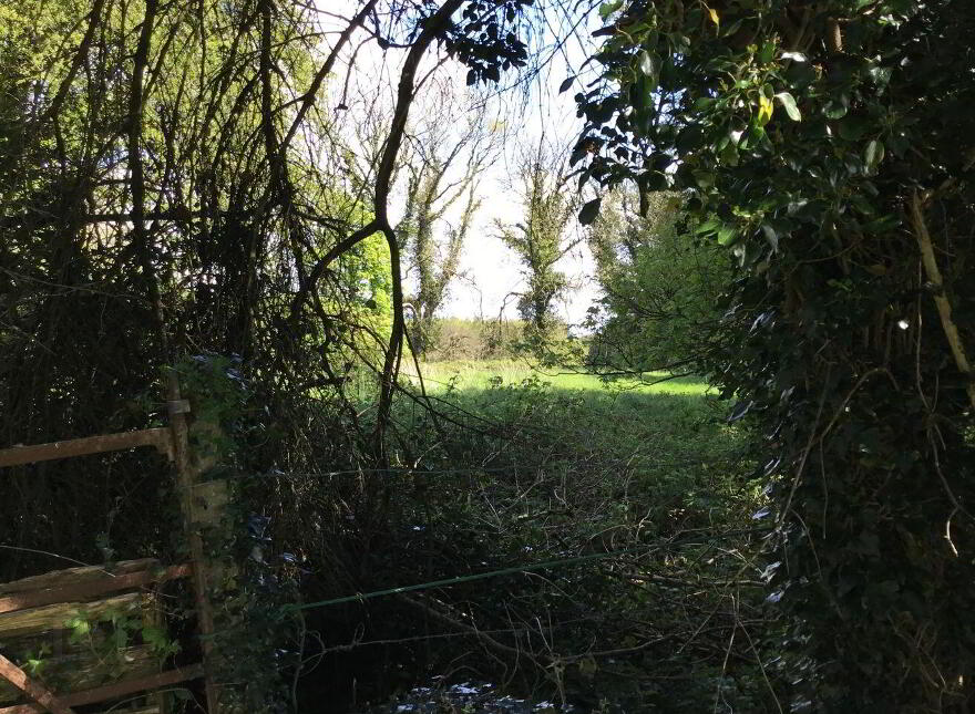 Ballybane House, Ballinlough