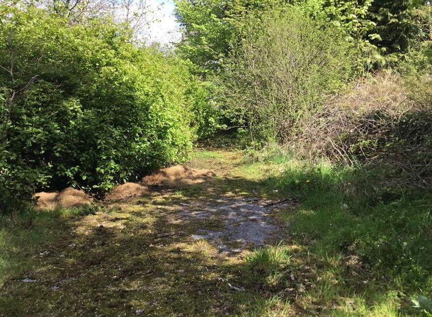 Ballybane House, Ballinlough
