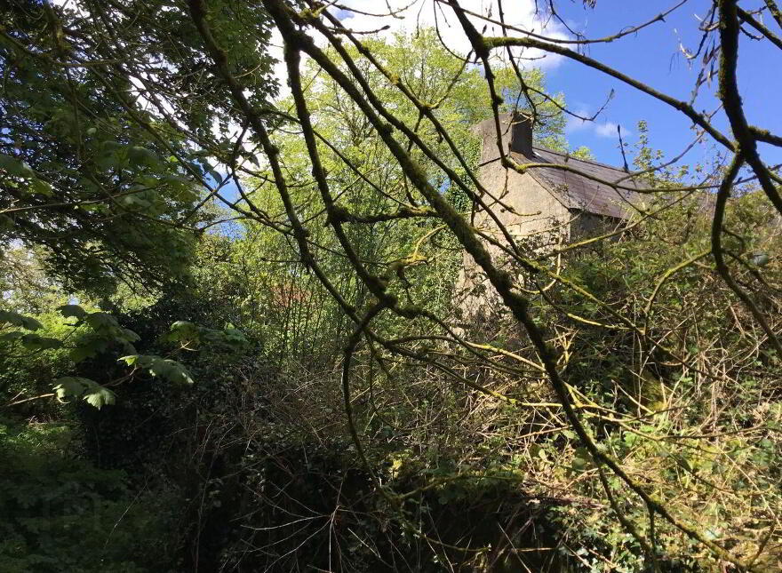 Ballybane House, Ballinlough