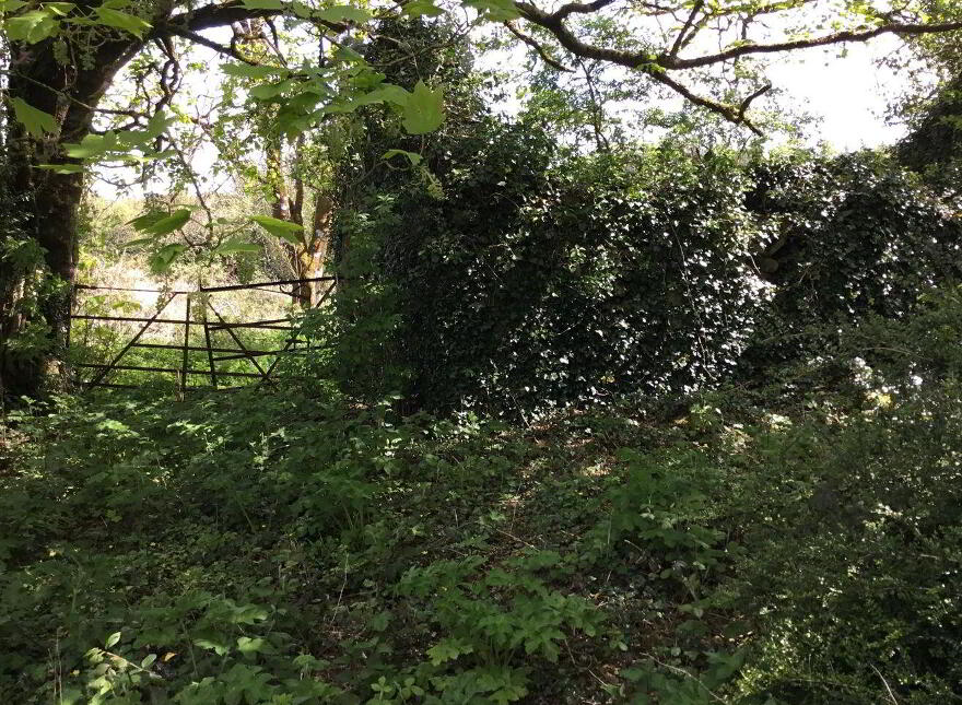 Ballybane House, Ballinlough