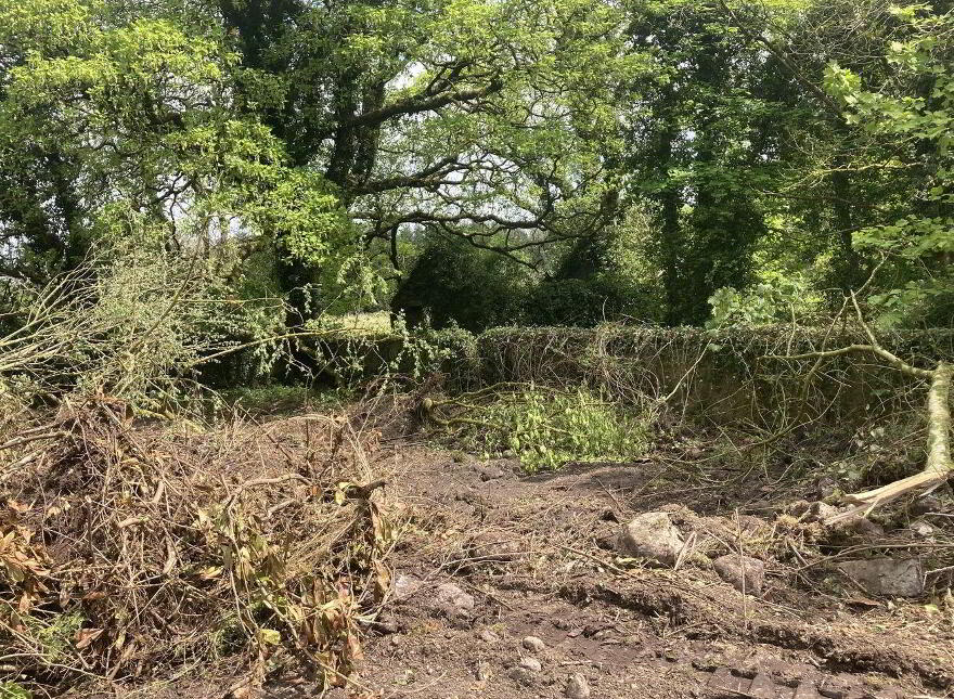 Ballybane House, Ballinlough