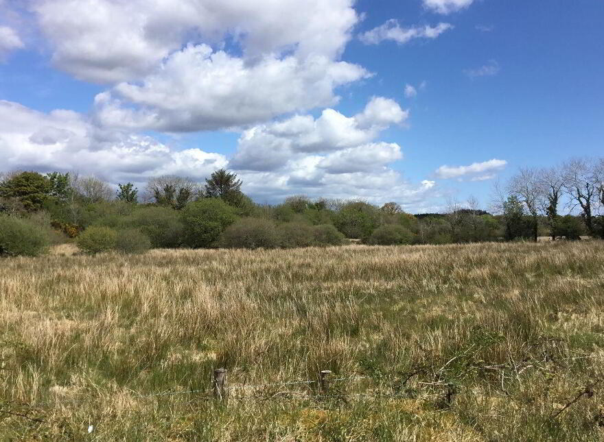 Ballybane House, Ballinlough