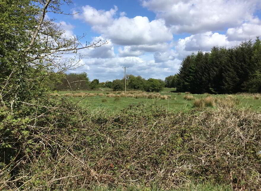 Ballybane House, Ballinlough