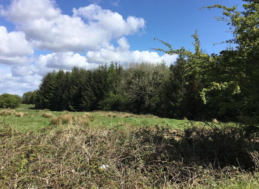Ballybane House, Ballinlough