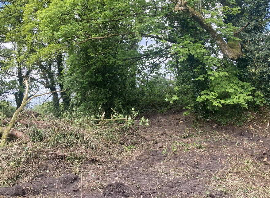 Ballybane House, Ballinlough