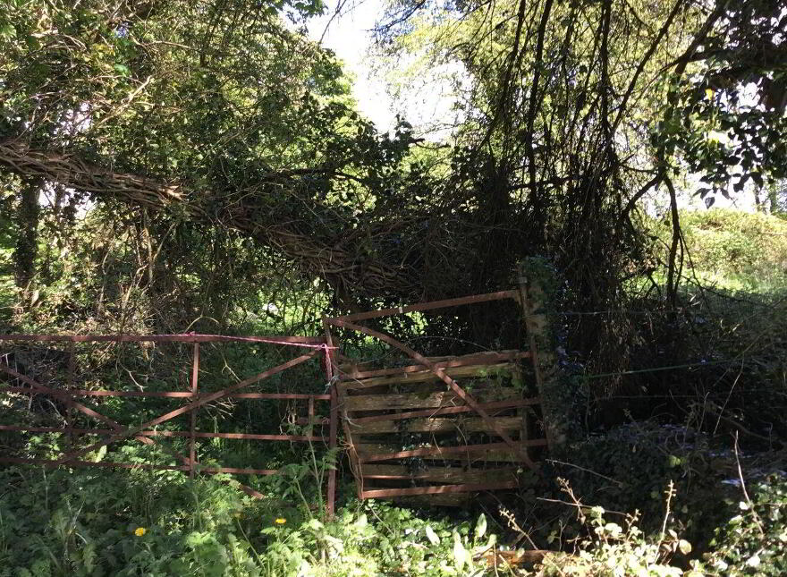 Ballybane House, Ballinlough
