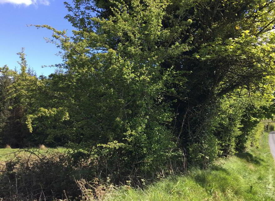 Ballybane House, Ballinlough