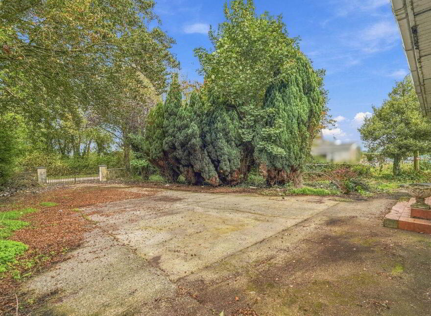 Cronyhorn, Ballymore, Ferns, Y21R5D2