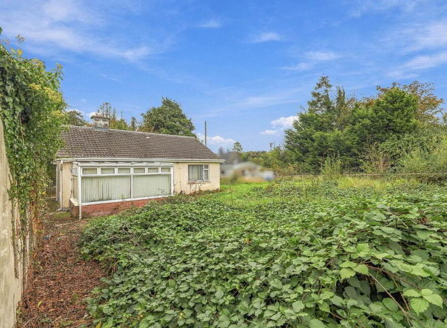Cronyhorn, Ballymore, Ferns, Y21R5D2