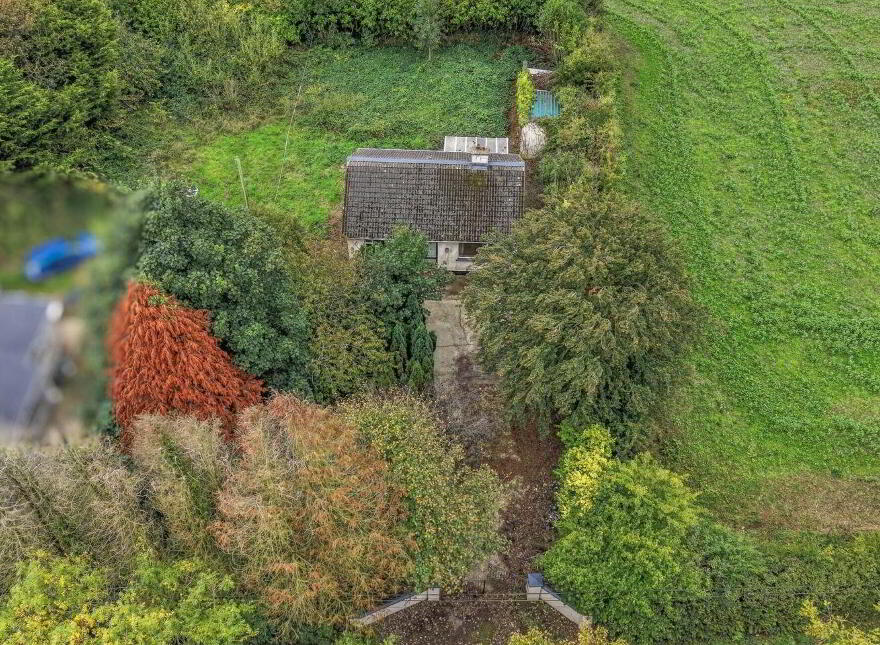 Cronyhorn, Ballymore, Ferns, Y21R5D2