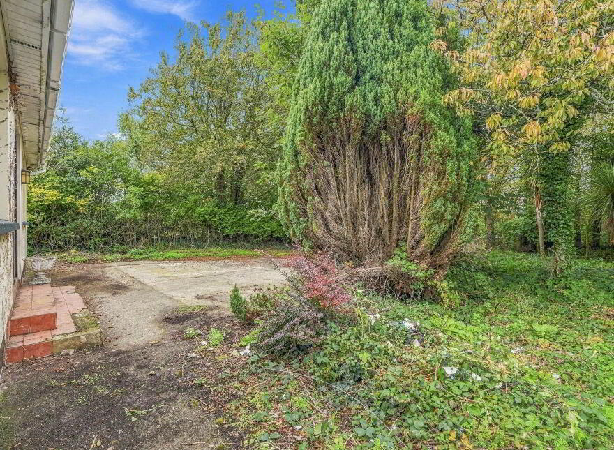 Cronyhorn, Ballymore, Ferns, Y21R5D2
