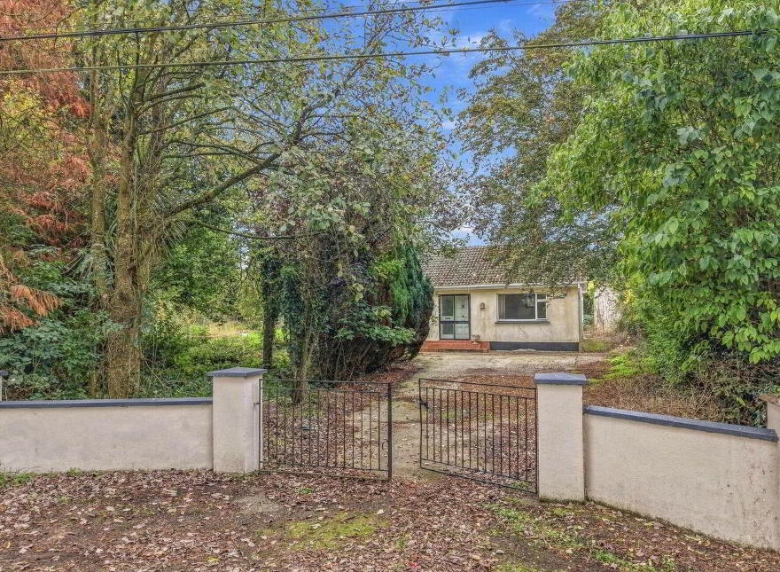 Cronyhorn, Ballymore, Ferns, Y21R5D2