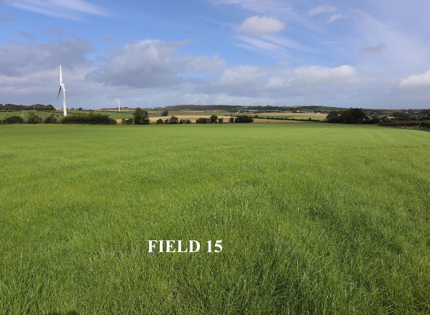 Opp 55/57 Cloyfin Road, Coleraine, BT52 2NY