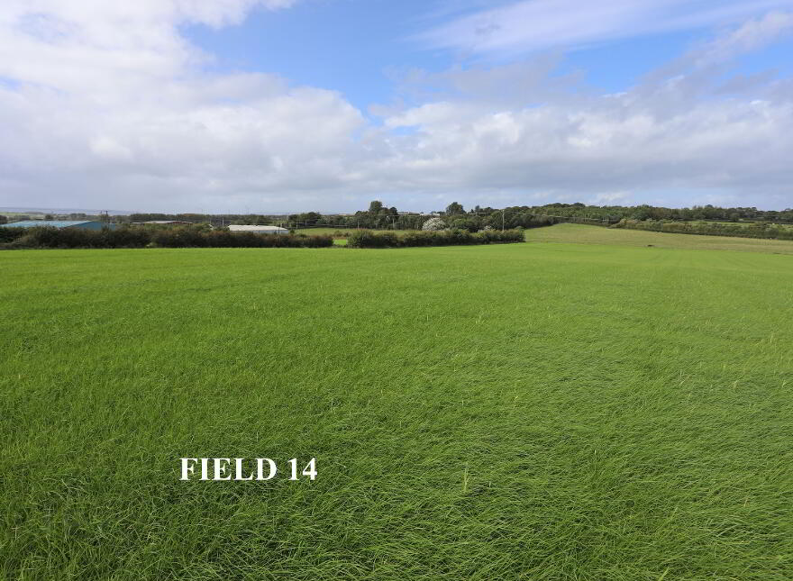 Opp 55/57 Cloyfin Road, Coleraine, BT52 2NY