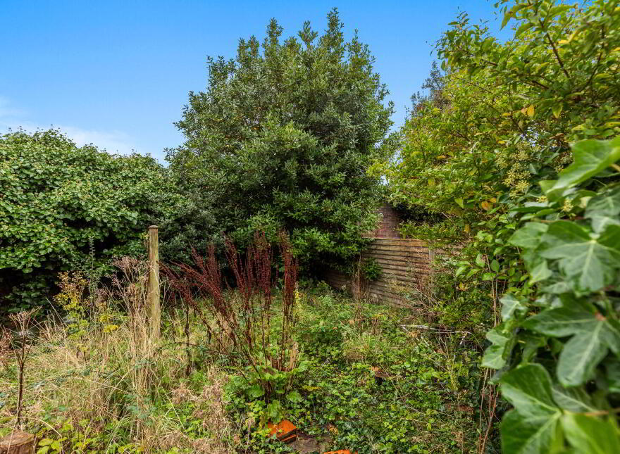 11 Willowfield Gardens, Belfast, BT6 9AZ