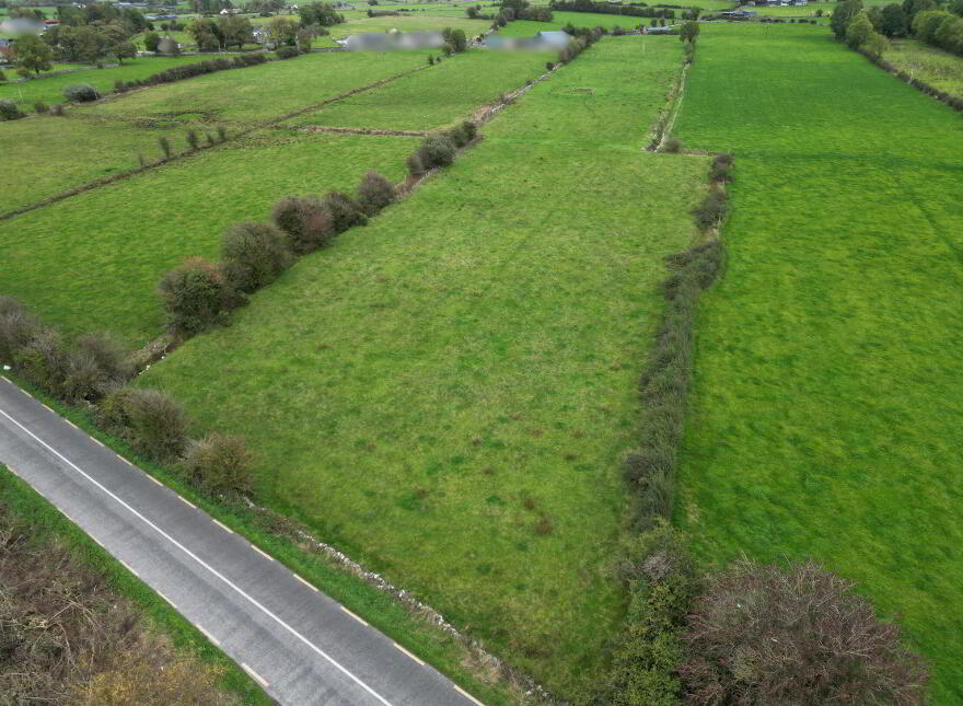 Torpanmore, Ballyforan