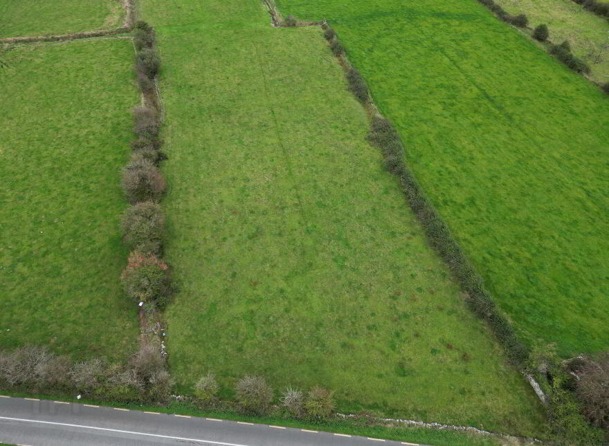Torpanmore, Ballyforan
