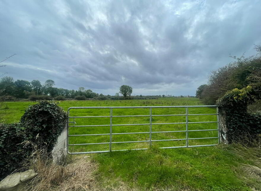 Torpanmore, Ballyforan