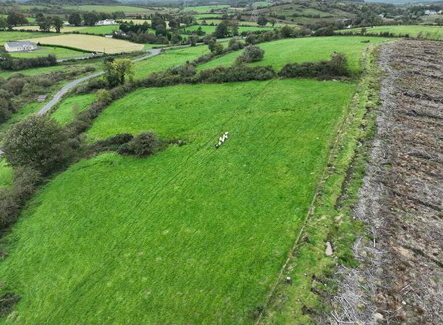 Clooskirt, Boyle, Coola