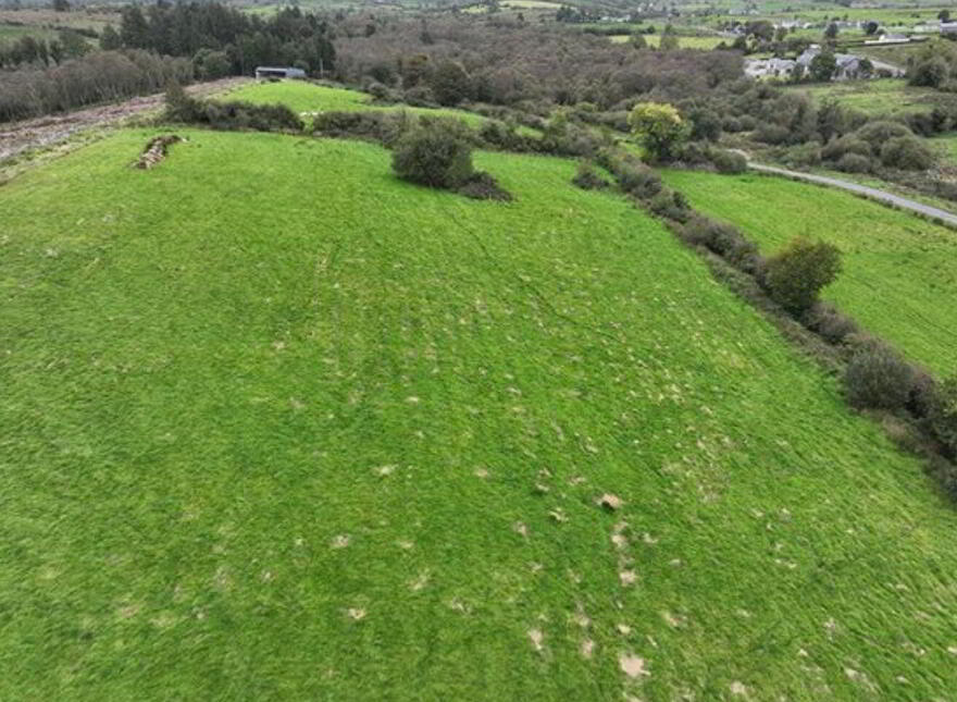 Clooskirt, Boyle, Coola