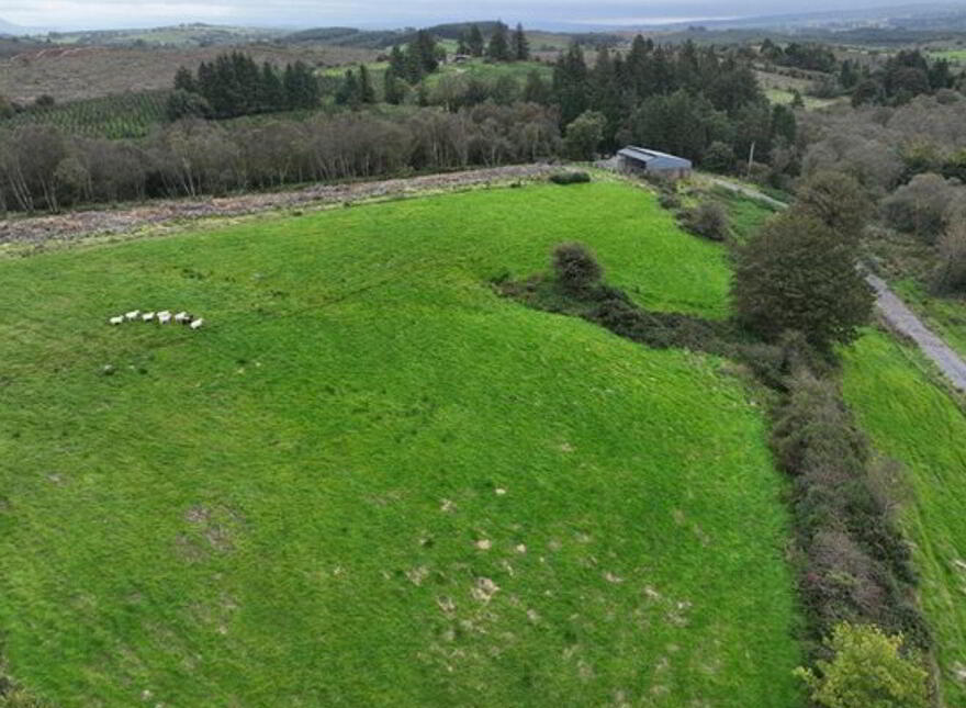 Clooskirt, Boyle, Coola