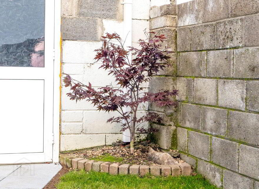 37 Standhouse Lawns, Newbridge, W12X394