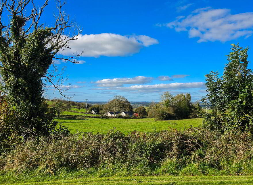 Moydow, Knockcroghery, F42EH50