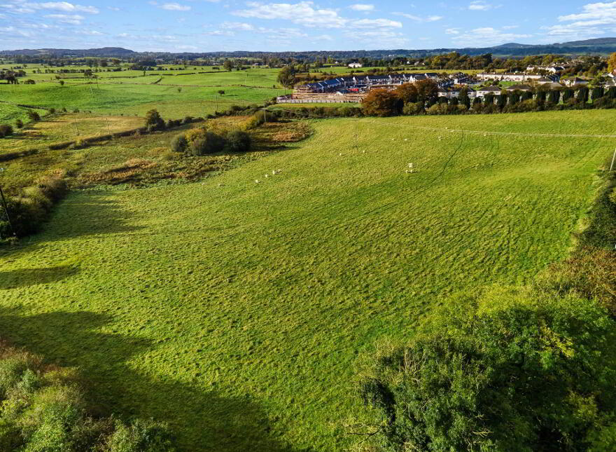 Lands, At Ballineale, Ballineale, Oldcastle