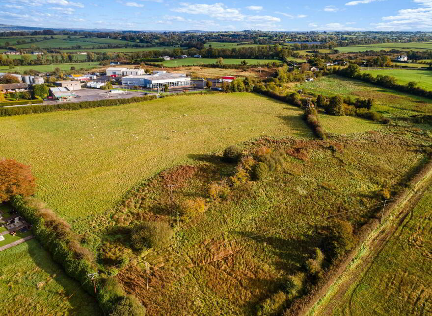 Lands, At Ballineale, Ballineale, Oldcastle